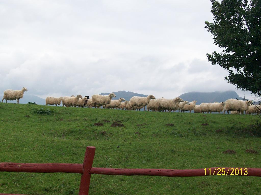 Appartement Larraburuko-Borda Sare Cameră foto